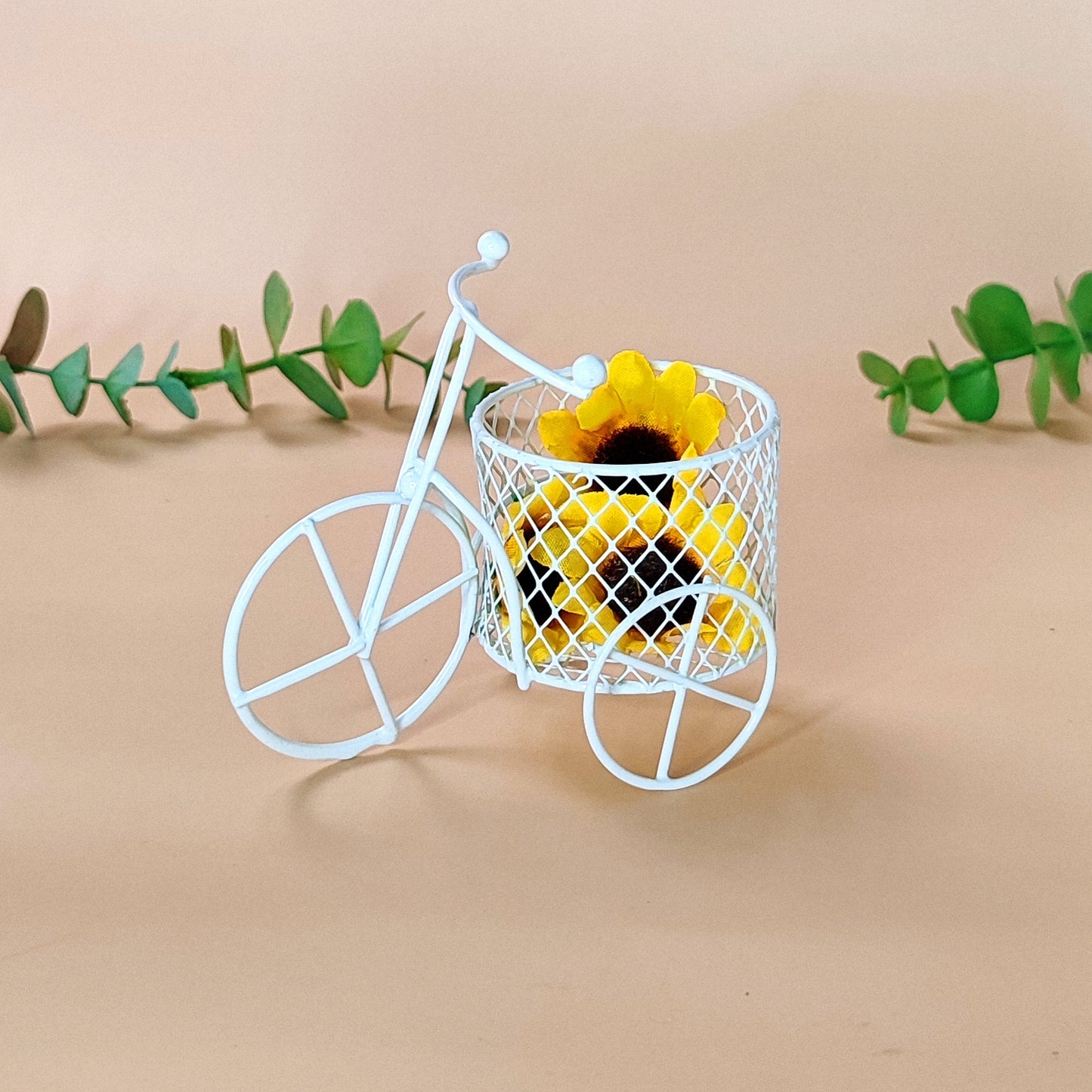 Mini-Bicycle