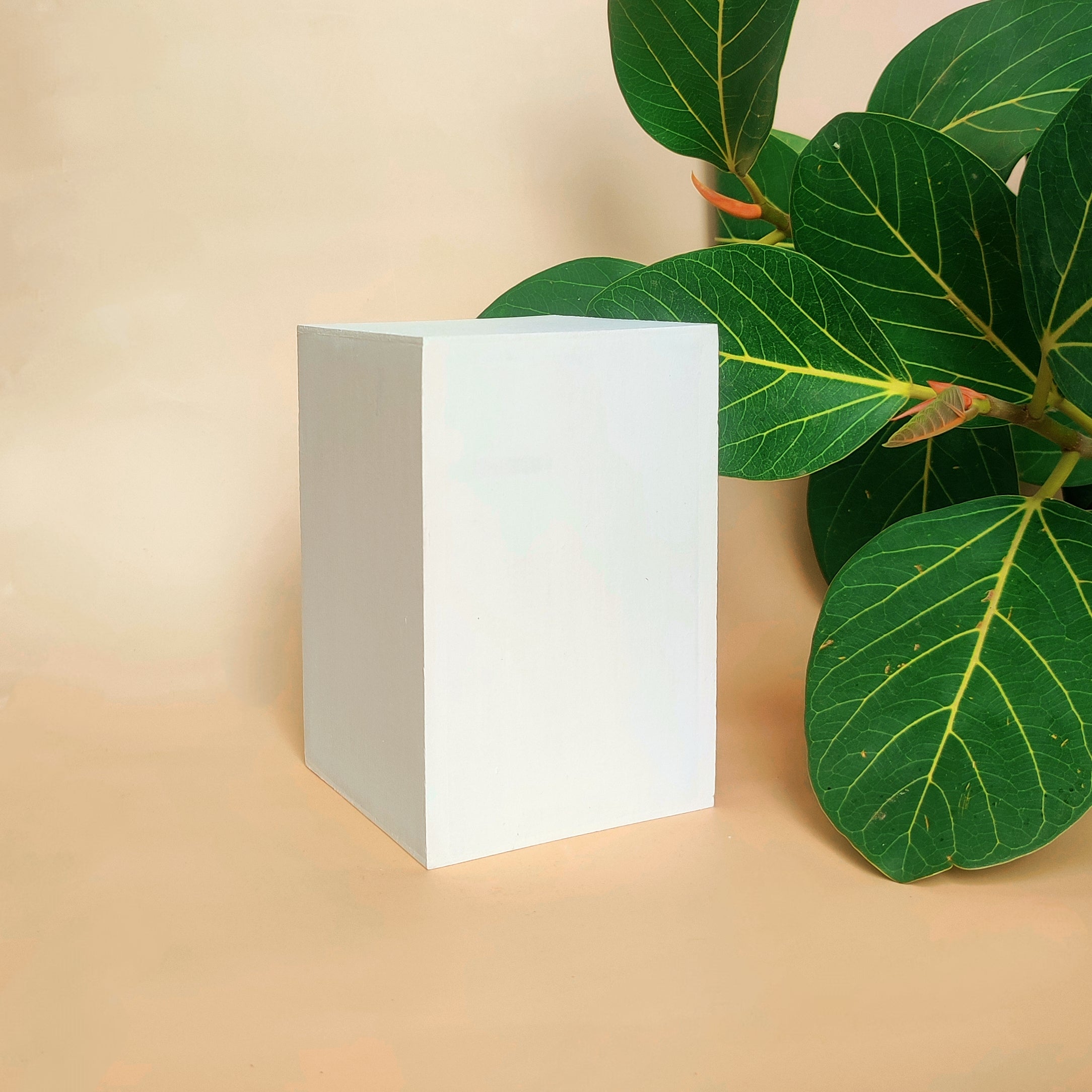 Box Riser Large – The Prop Studio